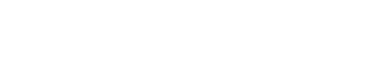Punt